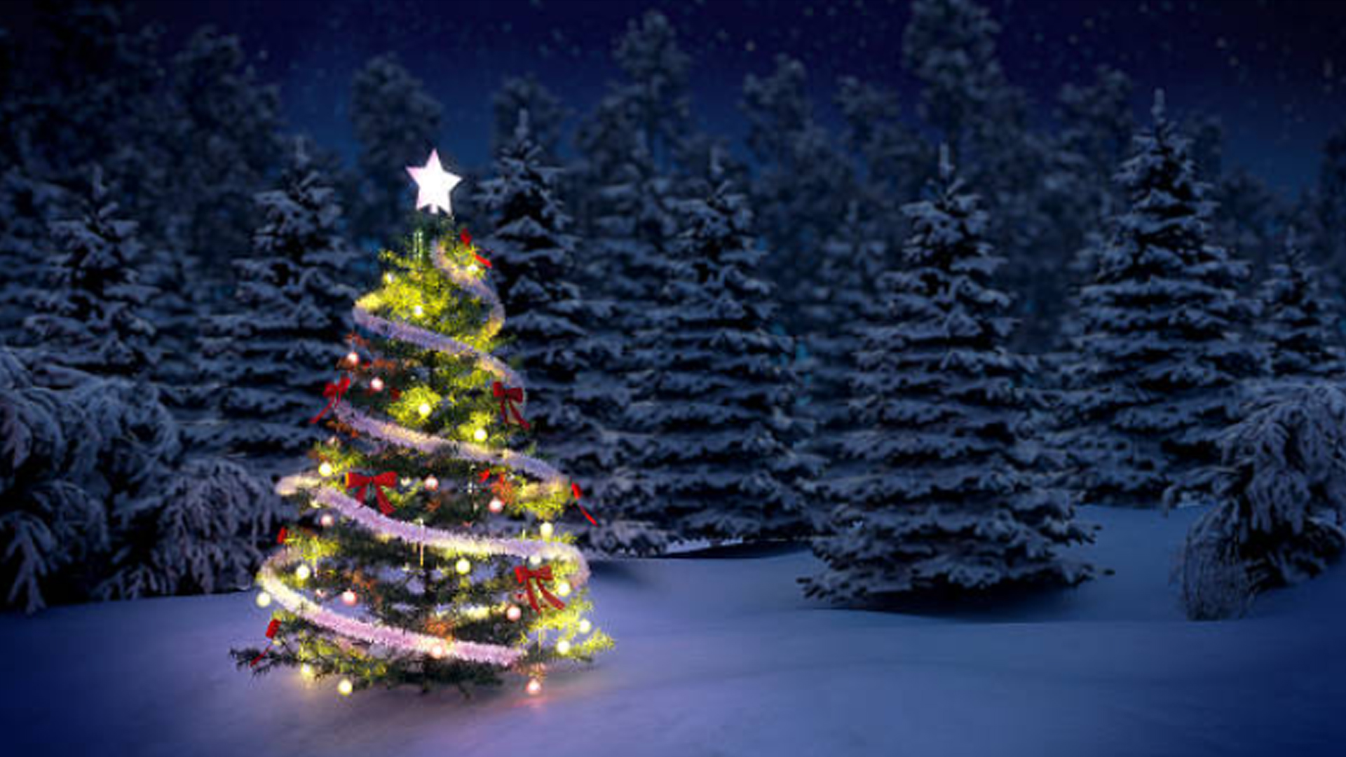 xmas2